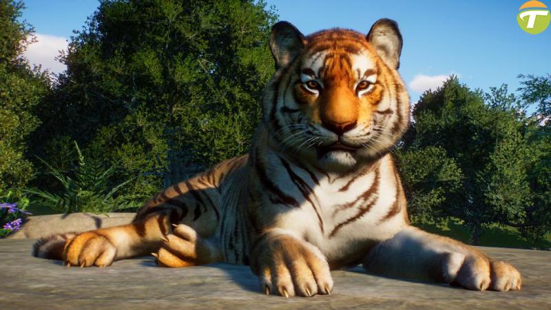 planet zoo cikis fragmani dunya tatlisi hayvanlara konut sahipligi yapiyor iCt6HCPl