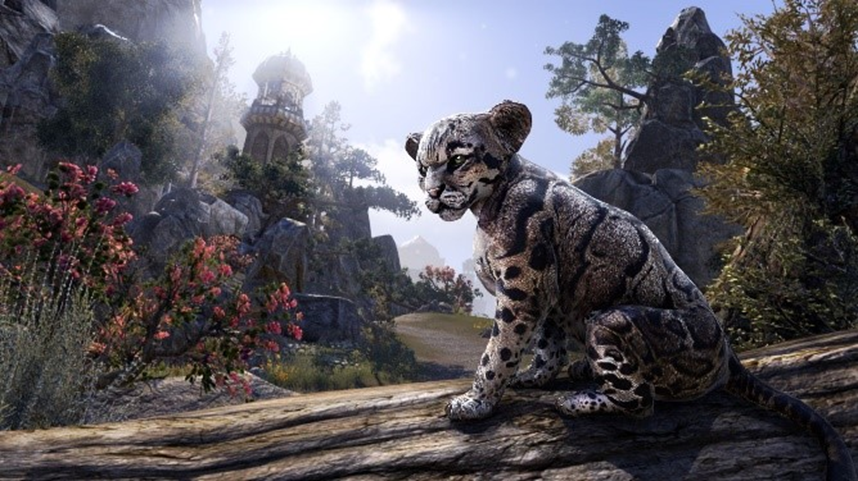 the elder scrolls online breton efsanesi sonbahar aktifligi 29 eylulde 0 Of7fI3T5