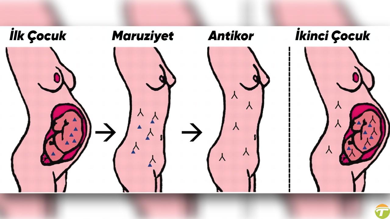 agabeyi olan sahislarin es cinsel olma ihtimali daha dogum esnasindayken yukseliyor duzgun de nasil VMyPfLmv