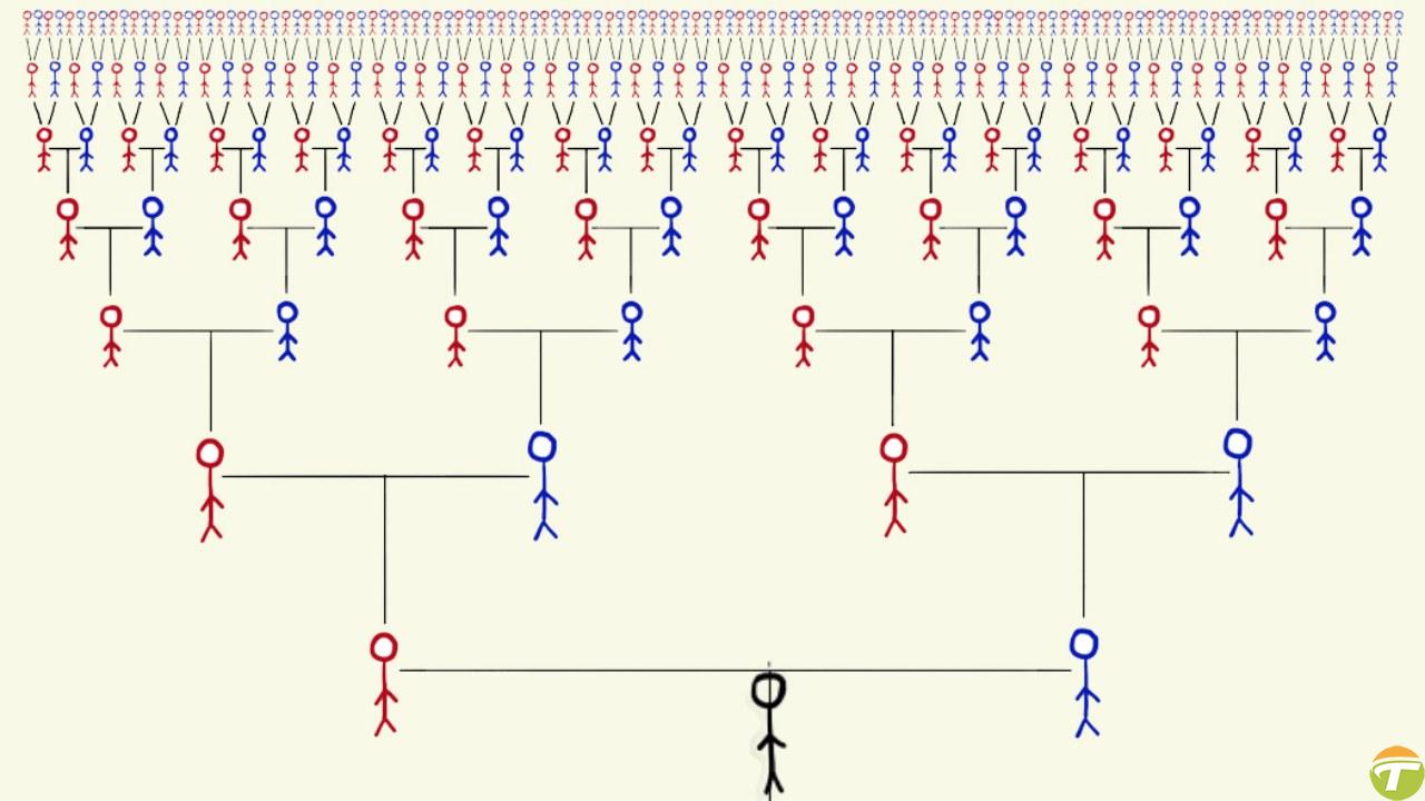dunyanin oteki ucunda yasayan rastgele biriyle akraba olma ihtimalimiz nedir 0 TN7eEdVl