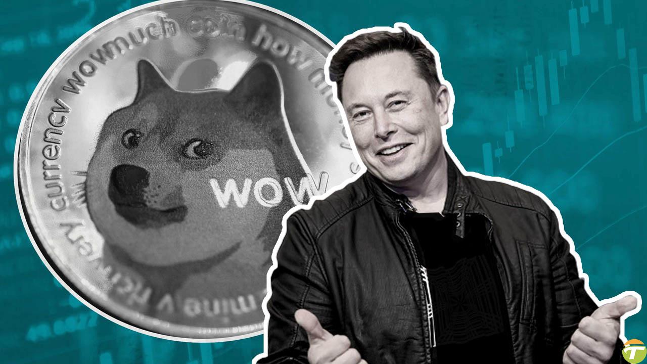 elon musk tesla bir gun dogecoin doge ile araba satacak 0 DzlqEuma