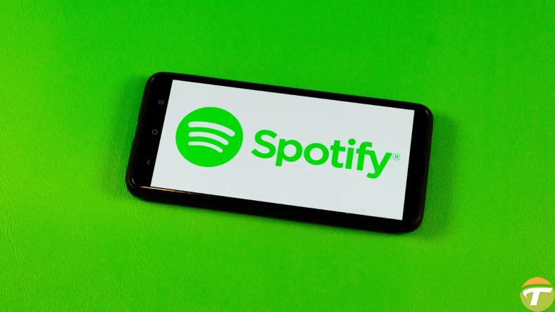 spotifyin sanatkarlara toplam kac para odedigi aciklandi 0 H4yKyIrC