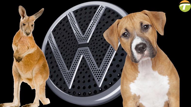 volkswagenden hayvanlari yoldan kaciran teknolojik amblem video mhzWaweK