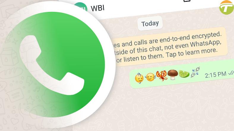 whatsapp android surumune gelecek yeni emojiler ortaya cikti VlWGfACJ