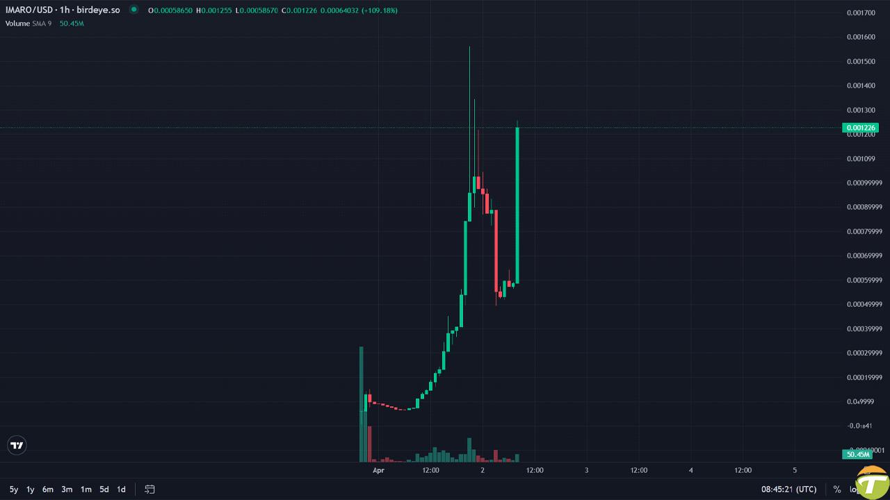 turk imali gogus coin imaro bir gunde 20 kat kiymet kazandi 1 W4ZZAX7M