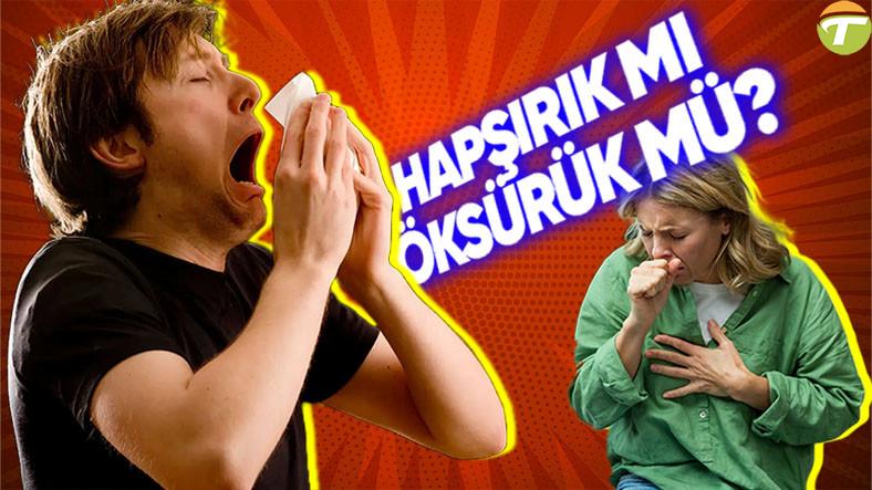 bedenin savunma duzeneklerinden olan oksurme ve hapsirmaya beyin nasil karar veriyor oksurecegimiz yerde hapsiramaz kTfJJa7T