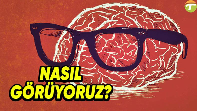 beynimiz gozlerimizle gormeyip hayal ettigimiz senaryolari gorsellestirmeyi nasil basariyor 18ll8ibY