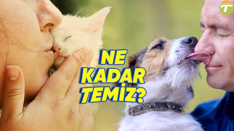 bilime nazaran kedi ve kopeklerin lisani soylendigi uzere insanlardan daha mi pak zAjchzyc