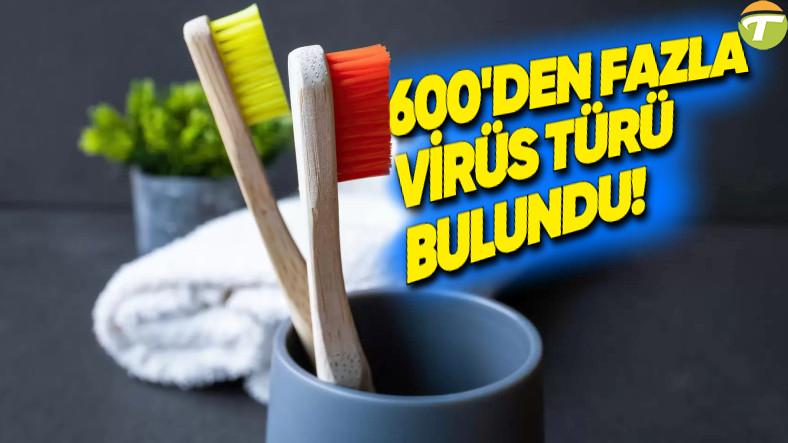 dis fircalari ve dus basliklarinda 600den fazla virus tipi kesfedildi ama cabucak endiselenmeyin iXjOYGb3