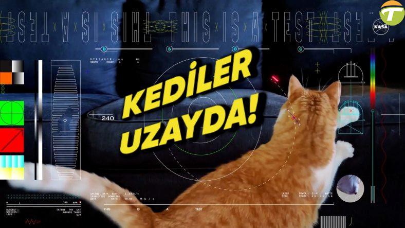 nasa uzaya ultra yuksek cozunurluklu bir kedi goruntusu gonderdi yoksa bu iste kedi ozel Uz7n3VCV