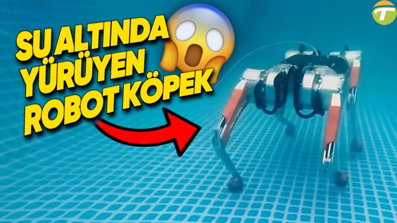 su altinda yuruyebilen robot kopek karsinizda honey badger video rqatvdZk